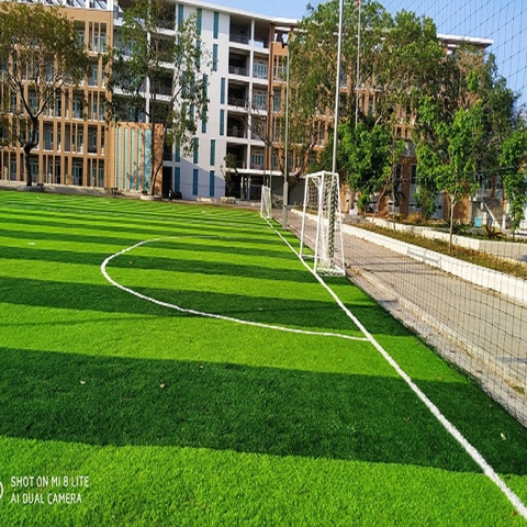 Cung cấp dụng cụ, thiết bị thể thao dành cho trường học