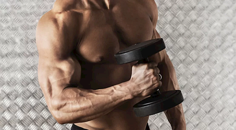 TOP 5 bài tập tạ giúp săn chắc cơ bắp tay hiệu quả