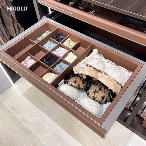 NGĂN KÉO ĐỰNG ĐỒ NỘI Y HIGOLD SERIES BV 2.0