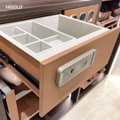 KÉT SẮT TỦ ÁO HIGOLD SERIES BV 2.0