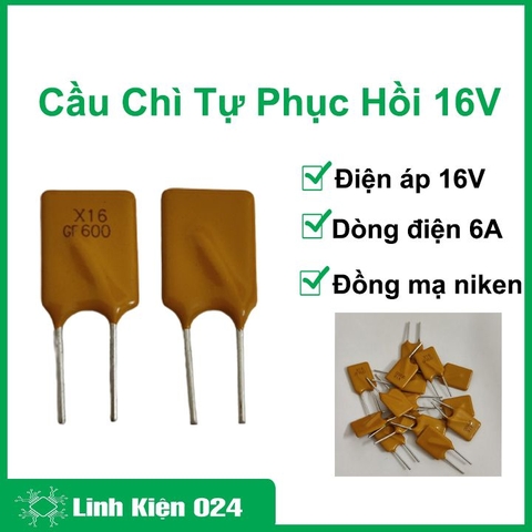 Cầu Chì Tự Phục Hồi 30V