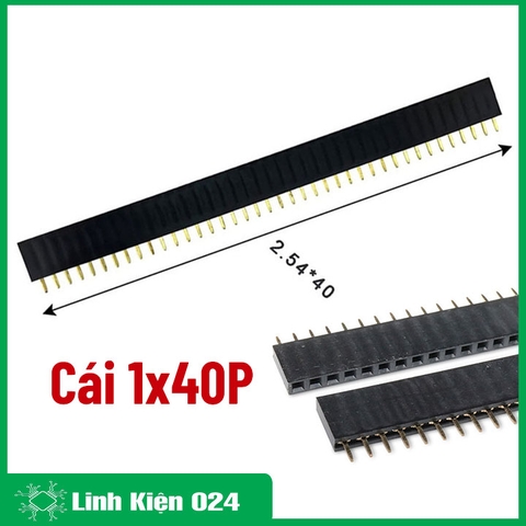 Thanh Jump Cái Đơn 1x40P 2.54mm ( Đen ) (k1a8)
