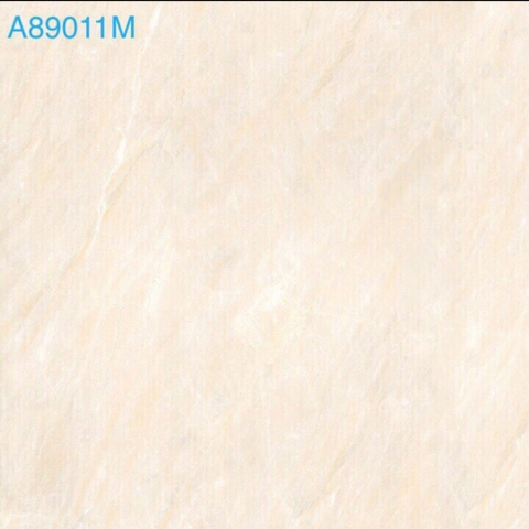 Gạch lát A89011M