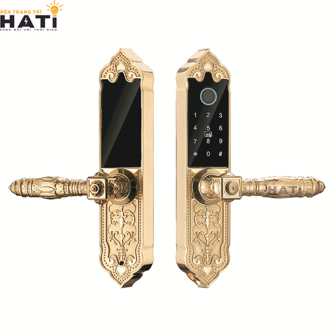Khóa vân tay Hubert đại sảnh DS79 GOLD MINI