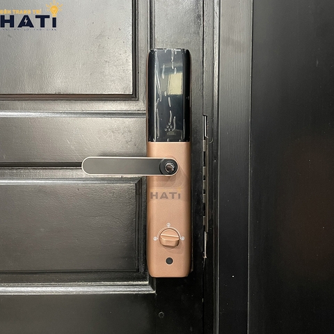 Khóa vân tay cửa gỗ Giovani GSL-A3RG