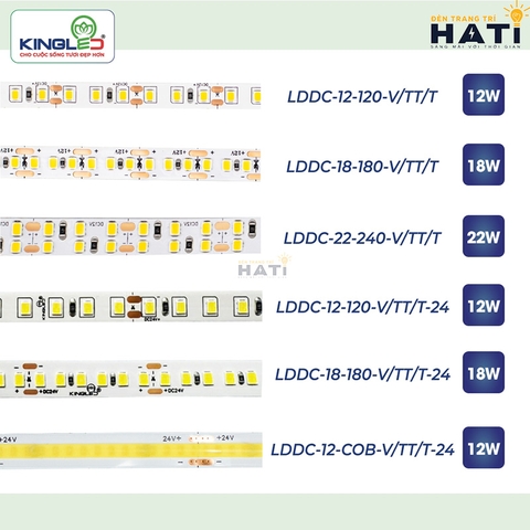 Đèn LED Thanh Nhôm Định Hình Kingled: Giải Pháp Chiếu Sáng Hiện Đại 2026