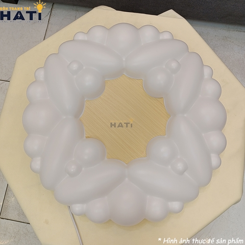 Đèn ốp LED Vicky được lắp đặt trên trần nhà