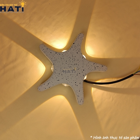 Đèn tường ngoài trời Starfish bảo hành 2 năm