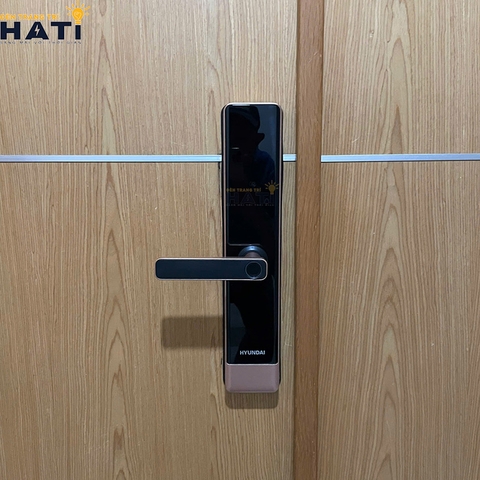 Khóa thông minh Hyundai cửa gỗ HY-SL007