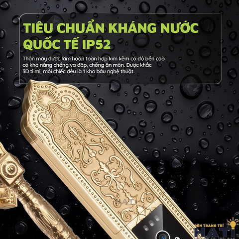 Khóa vân tay cửa gỗ Avolock AC 997F