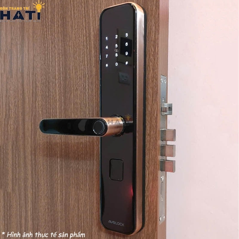 Khóa vân tay cửa gỗ Avolock AV 65