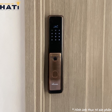 Khoá vân tay cửa gỗ Demax SL828