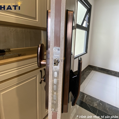 Khoá vân tay cửa gỗ Demax SL828