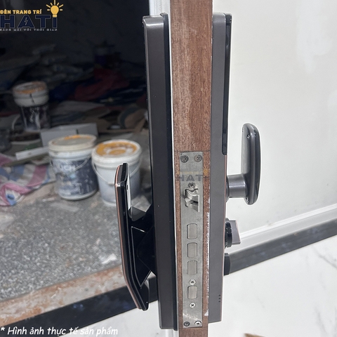 Khoá vân tay cửa gỗ Demax SL828