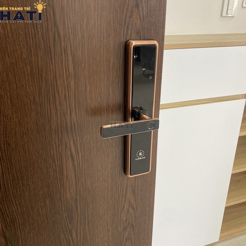 Khóa vân tay cửa gỗ Kassler KL-566 App