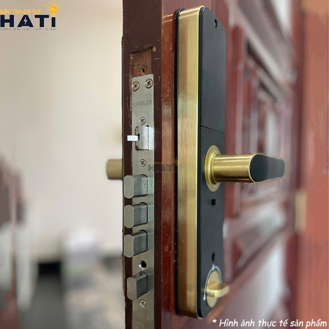 Khóa vân tay cửa gỗ Kassler KL-668