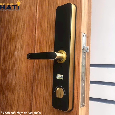 Khóa vân tay cửa gỗ Kassler KL-696