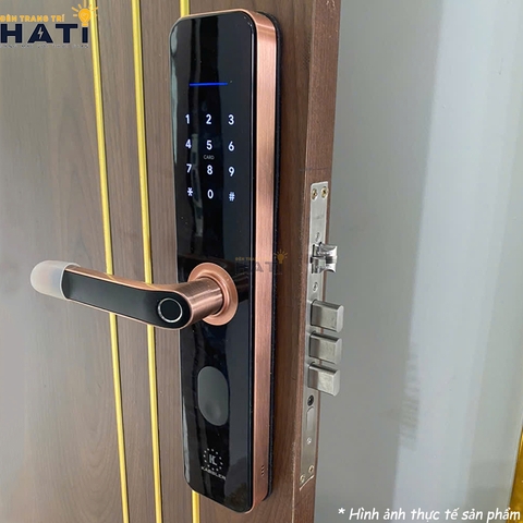 Khóa vân tay cửa gỗ Kassler KL-696