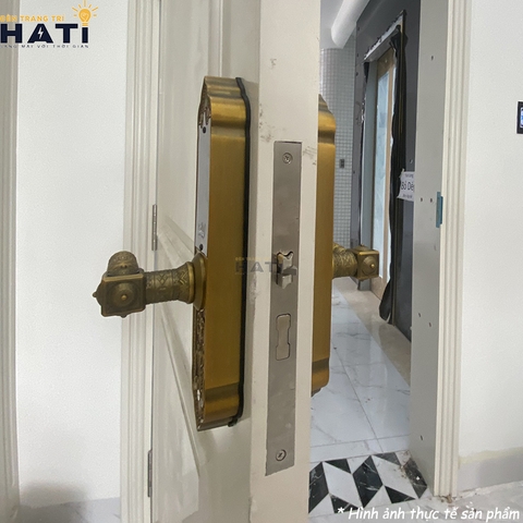 Khoá vân tay đại sảnh Demax EL280
