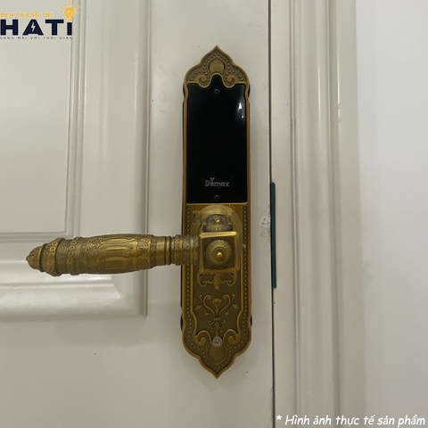 Khoá vân tay đại sảnh Demax EL280