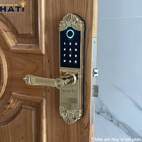 Khoá vân tay đại sảnh Demax EL280 BRASS 24K