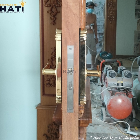 Khoá vân tay đại sảnh Demax EL280 BRASS 24K