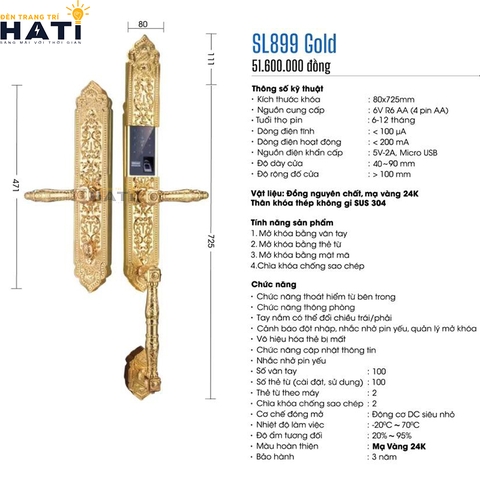 Khoa-van-tay-dai-sanh-demax-sl899-gold