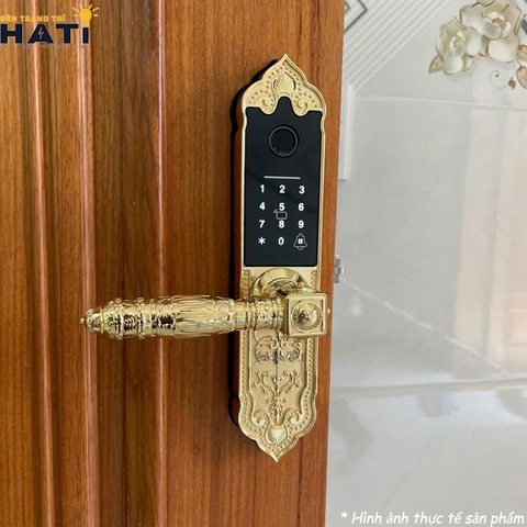 Khóa vân tay đại sảnh Kassler KL-919 APP