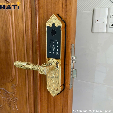 Khóa vân tay đại sảnh Kassler KL-919 APP