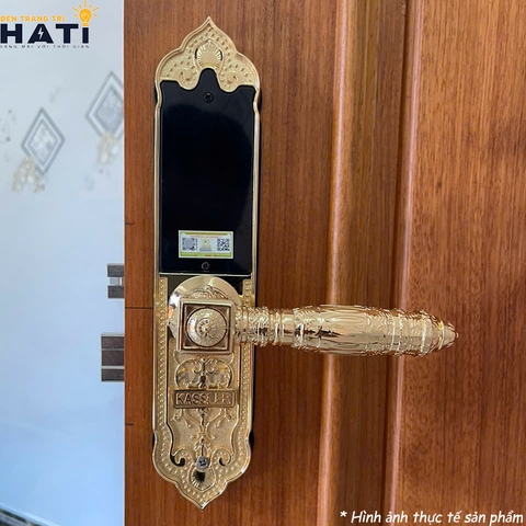 Khóa vân tay đại sảnh Kassler KL-919 APP