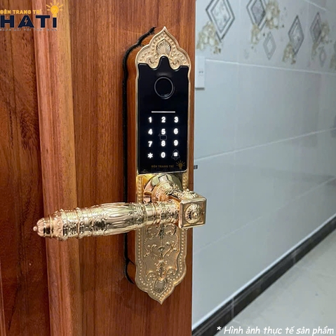 Khóa vân tay đại sảnh Kassler KL-919 APP
