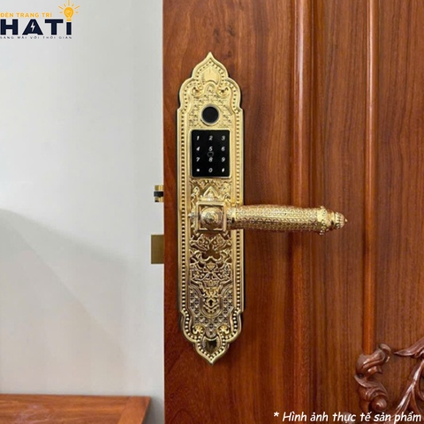 Khóa vân tay đại sảnh Kassler KL-919 PRO - GOLD