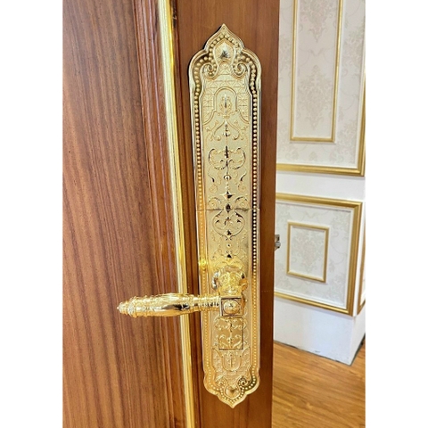 Khóa vân tay đại sảnh Kassler KL-929