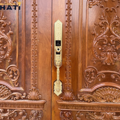 Khóa vân tay đại sảnh Kassler KL-939F
