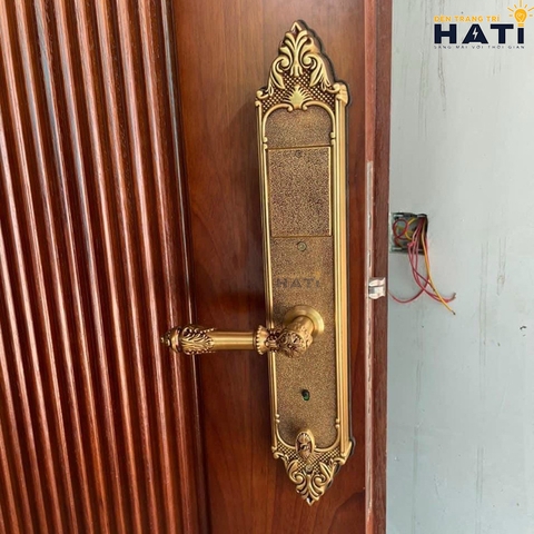 Khóa vân tay đại sảnh Kassler KL-969 C