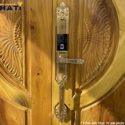 Khóa vân tay đại sảnh Kassler KL-979G