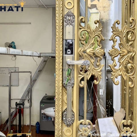 Khóa vân tay đại sảnh Kassler KL-979 GR
