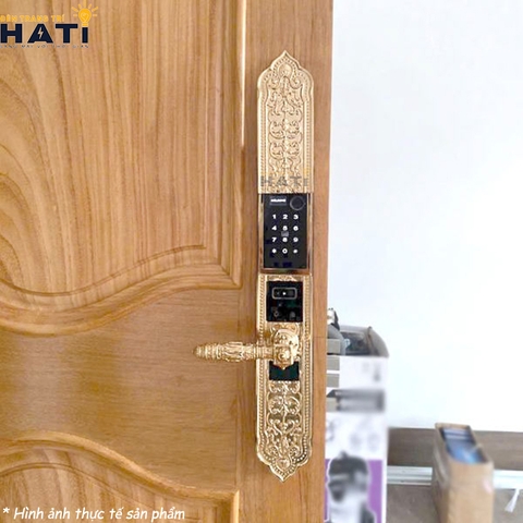 Khóa vân tay đại sảnh Kassler KL-989 FS