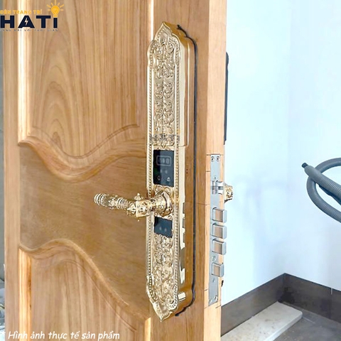 Khóa vân tay đại sảnh Kassler KL-989 FS