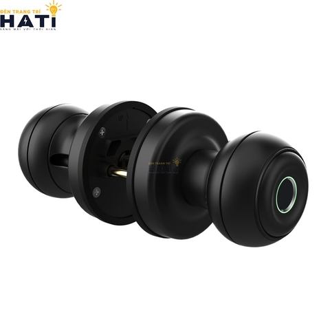 khoa-van-tay-demax-sl-106-1