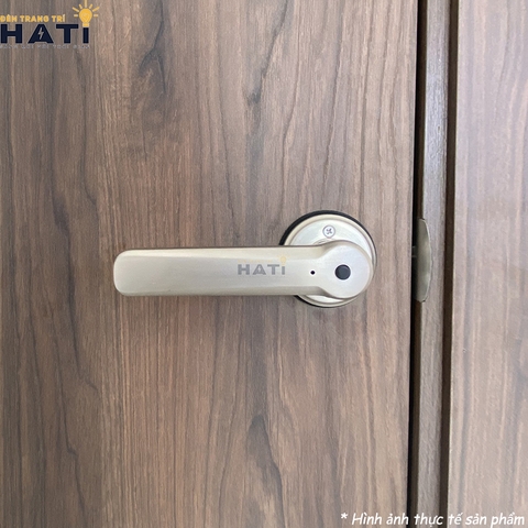 khoa-van-tay-demax-sl-109-1