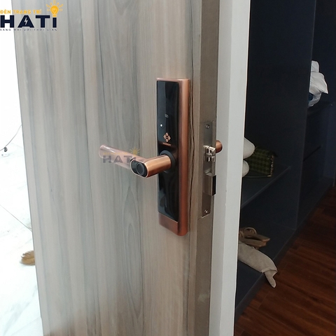 Khóa vân tay Hubert cửa gỗ CG39 Mini