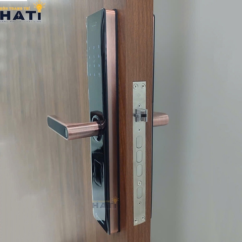 Khóa vân tay Hubert cửa gỗ CG60 GOLD