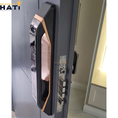Khóa vân tay Hubert cửa gỗ CG68VF COPPER