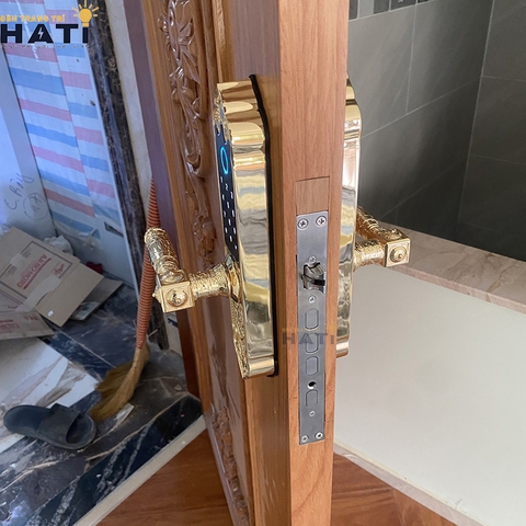 Khóa vân tay Hubert đại sảnh DS79 GOLD MINI