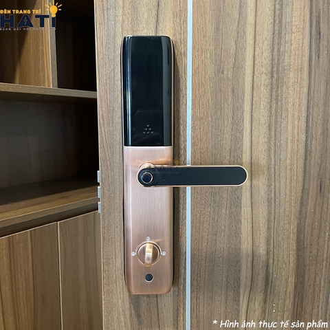 Khóa vân tay cửa gỗ Giovani GSL-A3BK