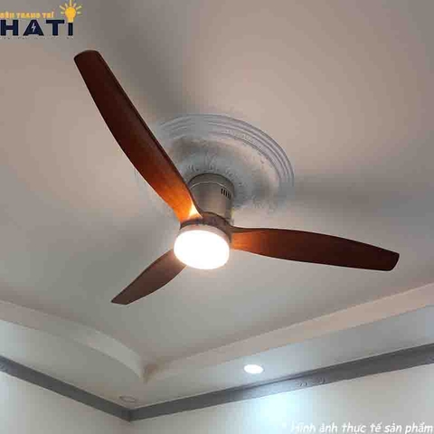 quạt trần đèn phòng khách