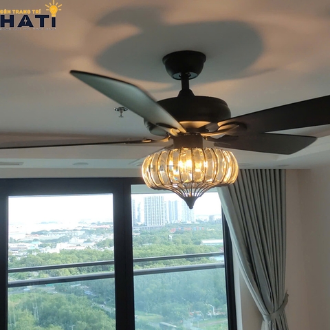 quat-tran-canh-go-glossy-hati5