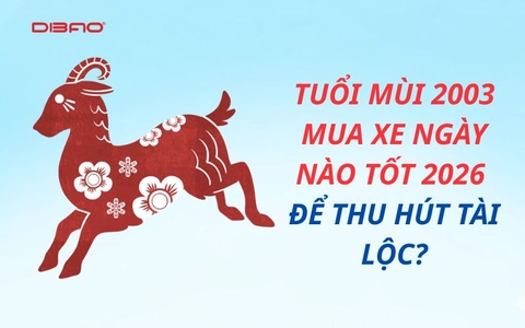 Tuổi Mùi 2003 mua xe ngày nào tốt 2026 để thu hút tài lộc?