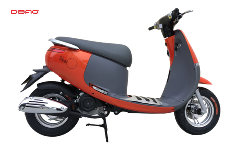 xe-tay-ga-dibao-gofast-phong-cach-tre